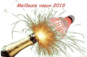 meilleurs voeux 2016